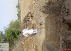 Pre Balram _dhuniram